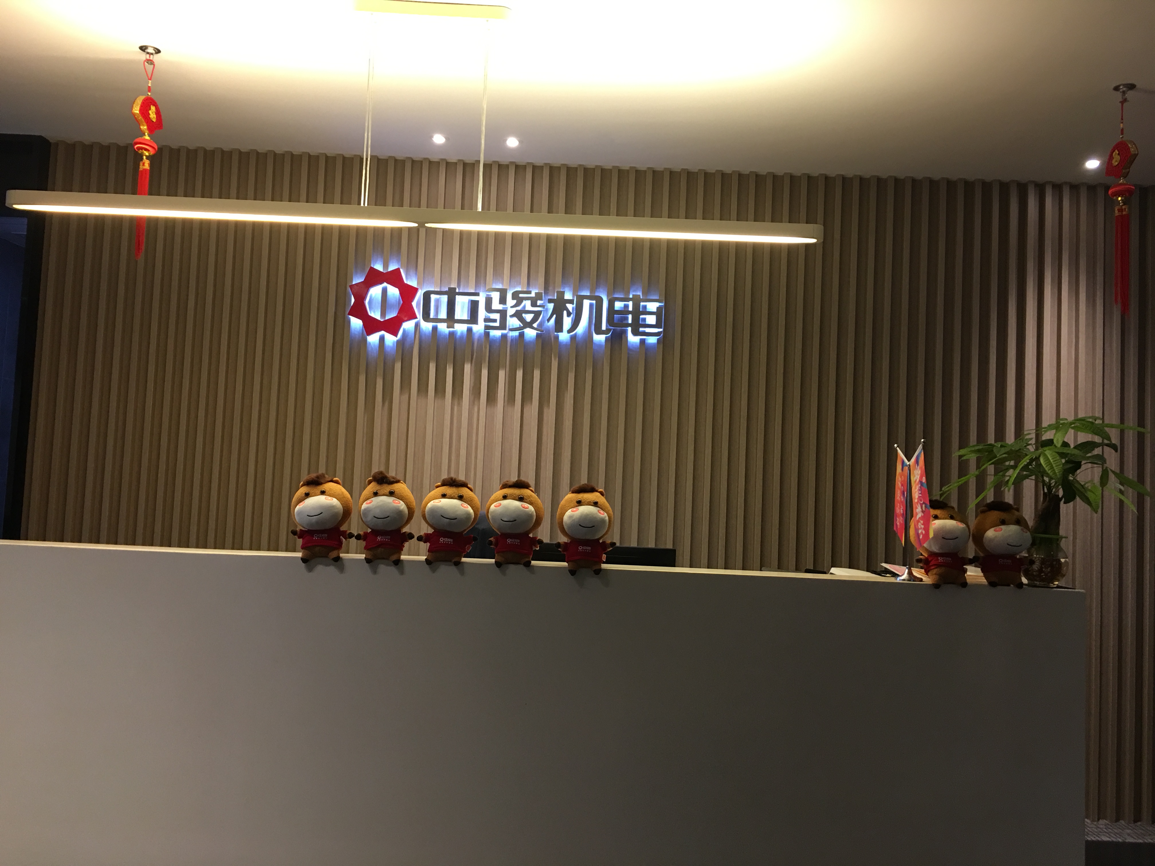 中駿集團(tuán)2019“6·6幸福日”!